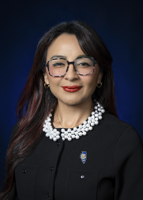 Photograph of Representative  Dagmara Avelar (D)